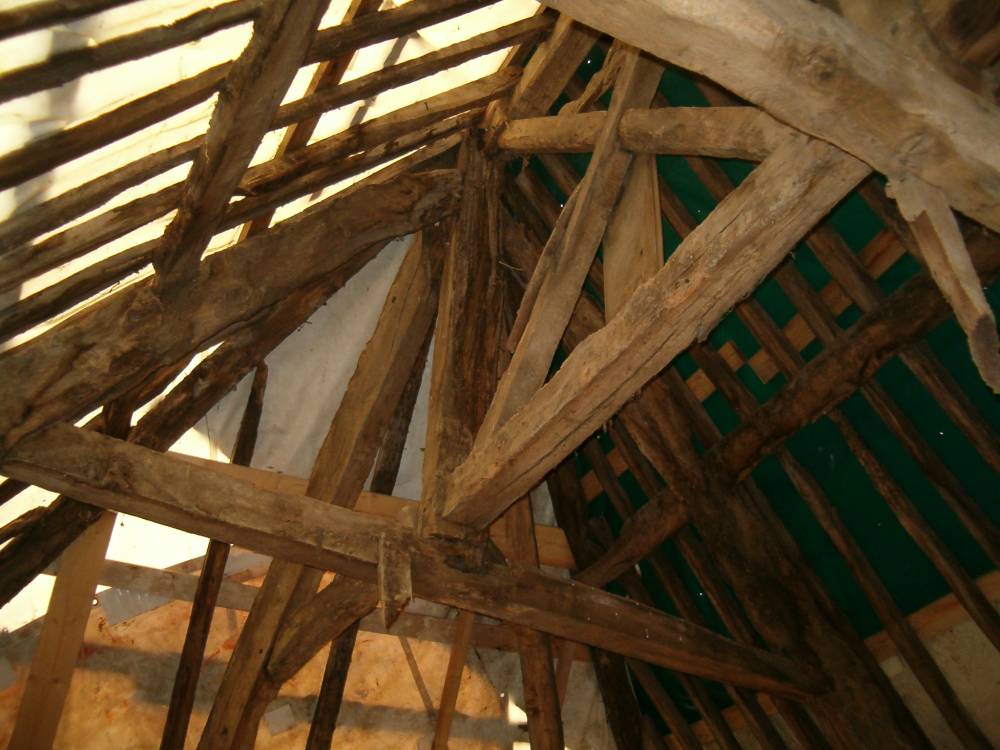Photo 008
