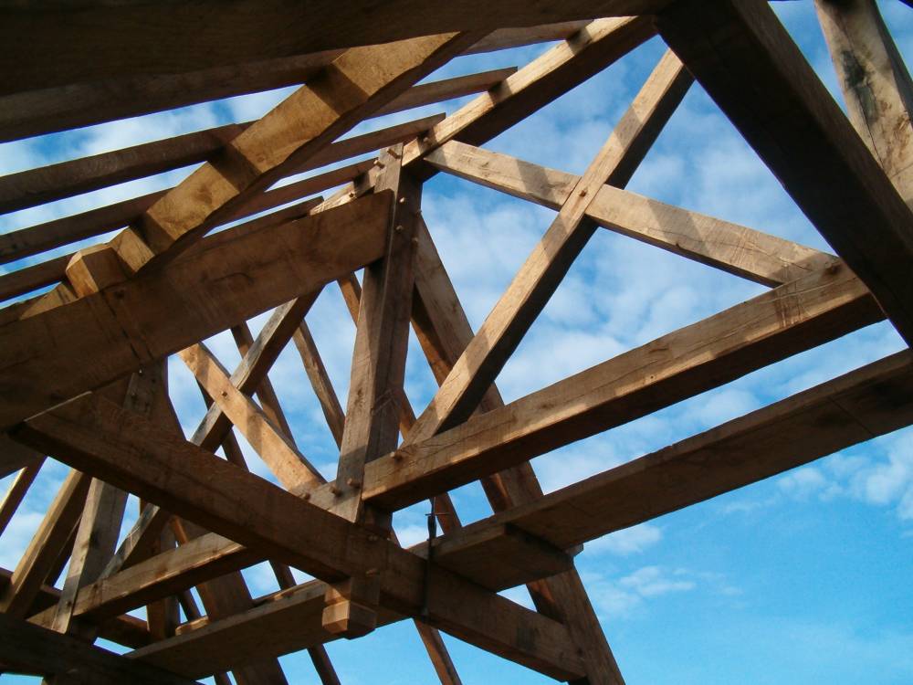 Photo 016a