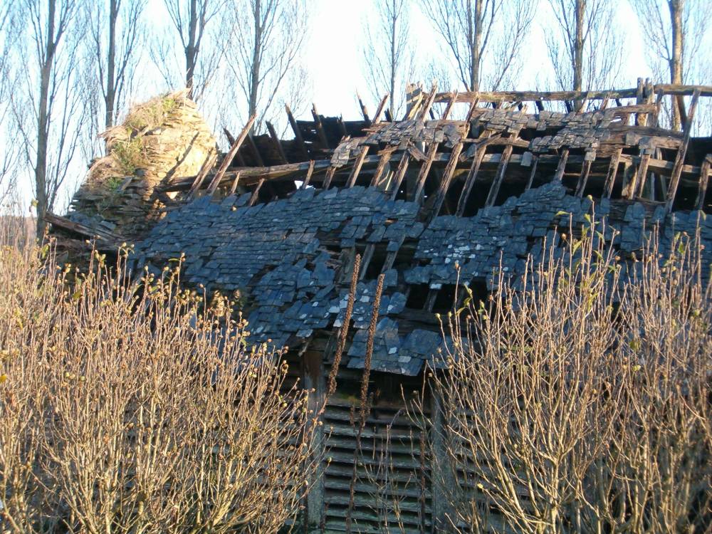 Photo 017