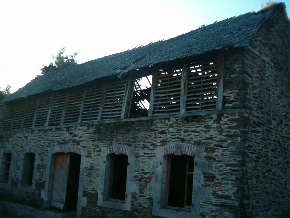 Photo 019